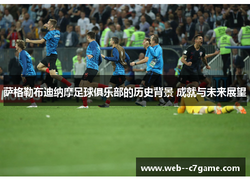 萨格勒布迪纳摩足球俱乐部的历史背景 成就与未来展望