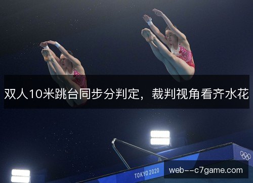 双人10米跳台同步分判定，裁判视角看齐水花